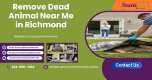 Dead Animal Removal Near Me